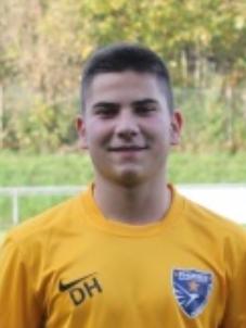 Dzenis Hozanovic