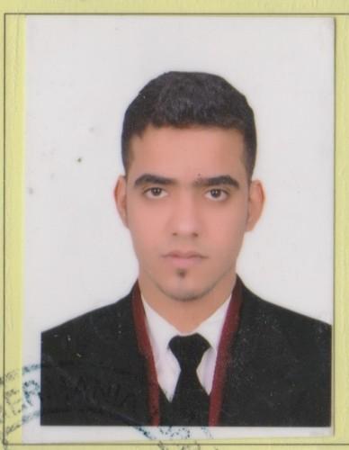 Rafik Elwalwal