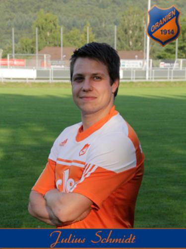 Julius Schmidt