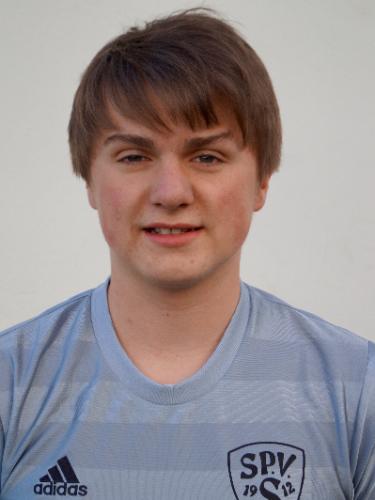 Johannes Scholz