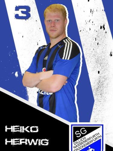 Heiko Herwig