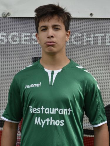 Dzenis Bogucanin