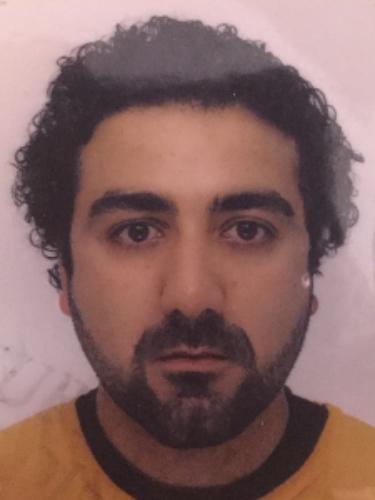 Volkan Demirkan