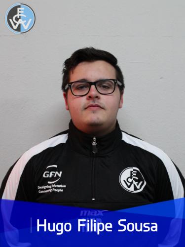 Hugo Filipe Paiva E Sousa