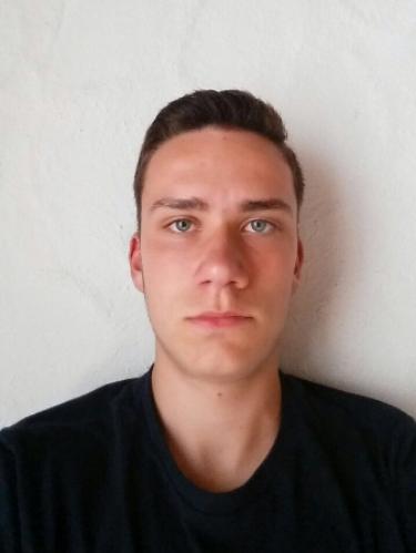 Mario Siebner