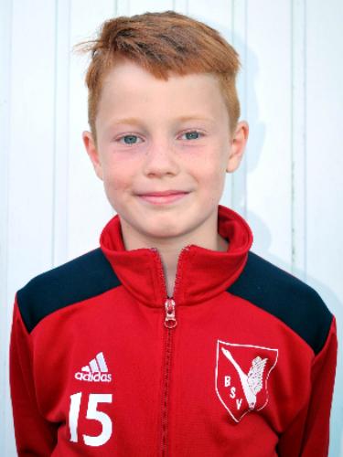 Hendrik Frederik Stark