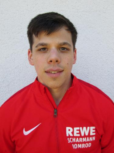 Yannik Merle