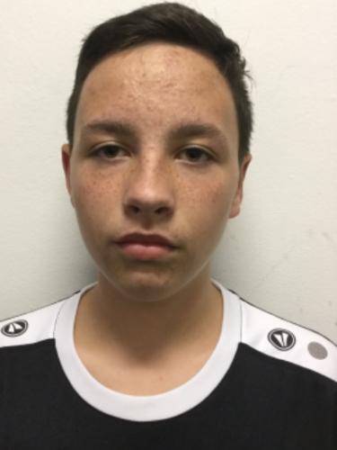 Chris Alexander Heinze