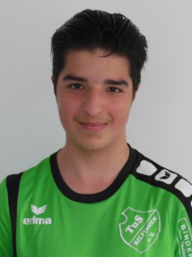 Semin Ugljanin