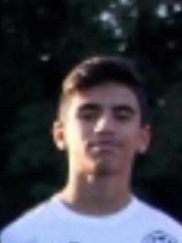Halil Tok