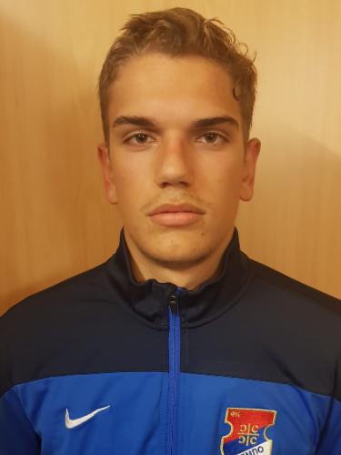 Luka Vasiljevic