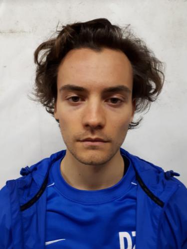 Dominik Zehender