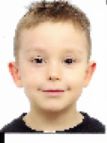 Linus Diehr