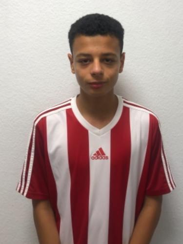 Yousef Abdalla Farid