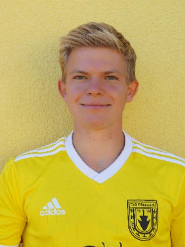 Theo Fehrenbach