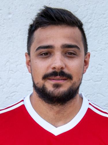 Florin Stanila