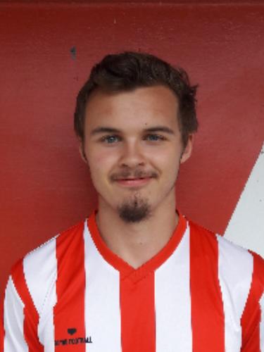Domenic Hög