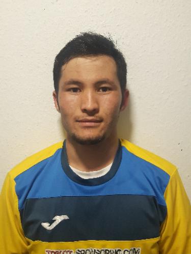 Hossein Sultani