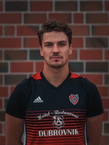 Niklas Heins