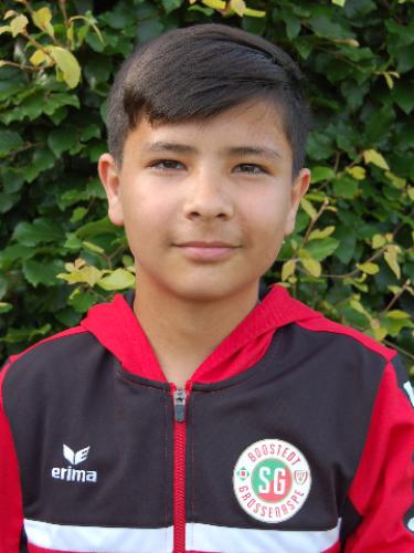 Mahdi Jamshidi