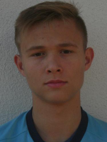 Johannes Emil Leewog