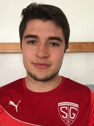 Julius Freynik-Mauerhöfer