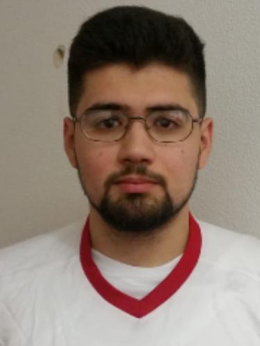 Mustafa Altinel