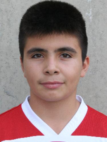 Taylan Tezerdi