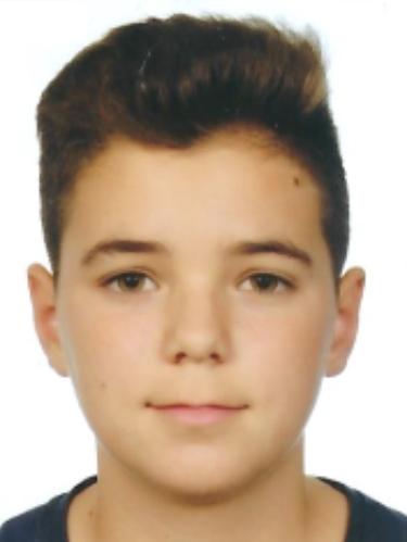 Karlo Radovic