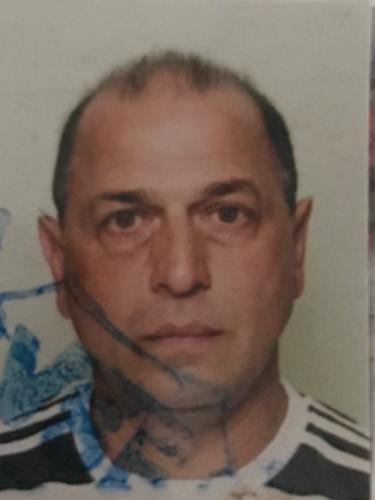Nebojsa Dimitrijevic