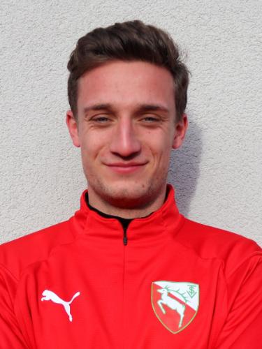Nikola-Philipp Samardzija
