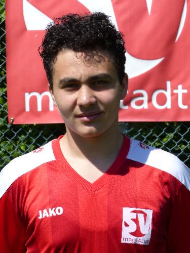 Hadi Kahwaji