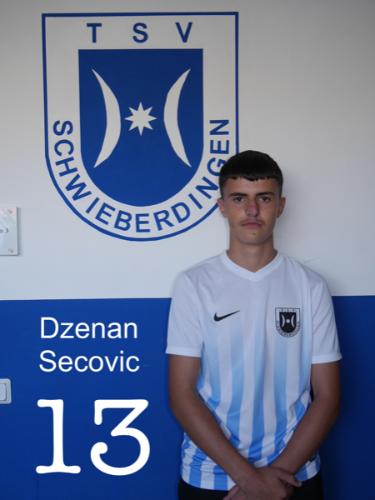 Dzenan Secovic