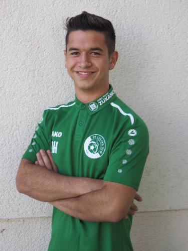 Armin Hamzic
