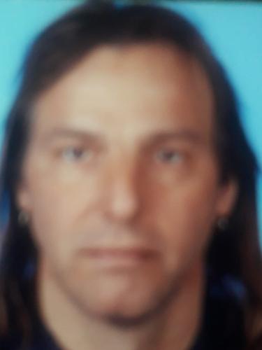Rudi Lauer