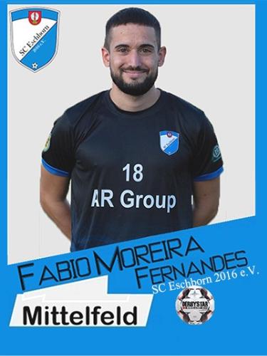 Fabio Moreira Fernandes