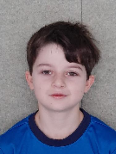 Dominik Alexander Bittrich