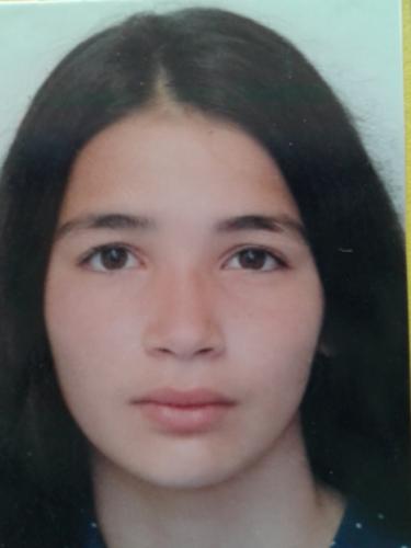 Seher Ilgin