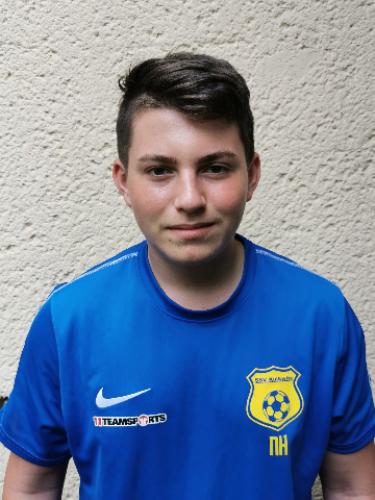 Nick Damian Hirsch