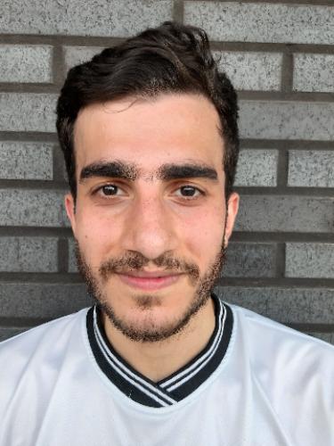 Mohamad Safarian