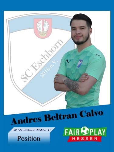 Andres Beltran Calvo