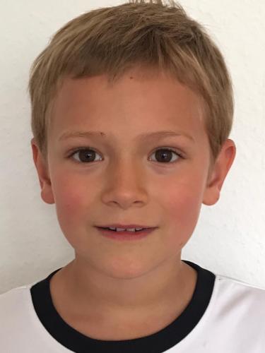 Niklas Habighorst