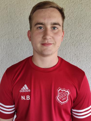 Niklas Brill