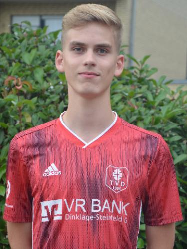 Hendrik Ostendorf