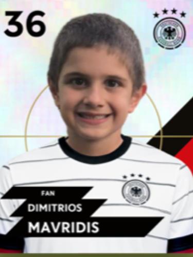 Dimitrios Mavridis