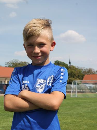 Alwin Schicke