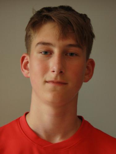 Maximiliaan Laurens Oliver Constantein Hoekstra