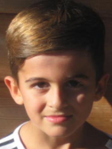 Andi Muja