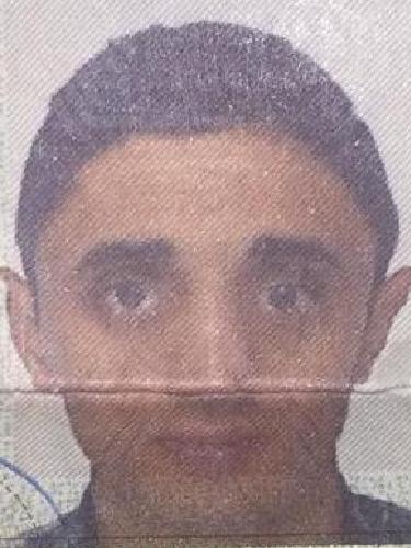 Shamil Mammadov
