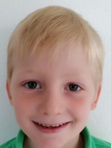 Anton Pauls
